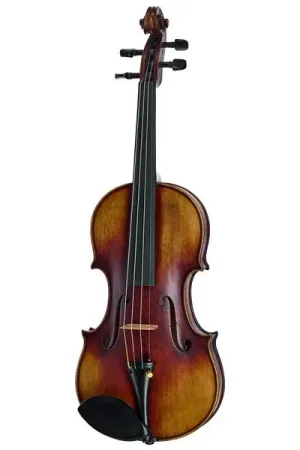 Produit tendance | Hidersine Espressione Violin Set Guarn.