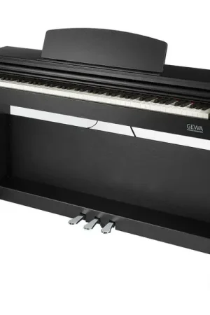 Gewa DP 510 Black - Bonne affaire