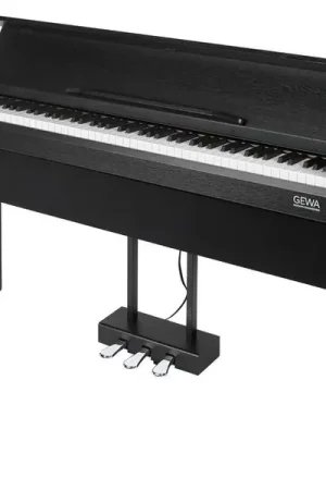 Prix imbattable - Gewa CP 510 Black