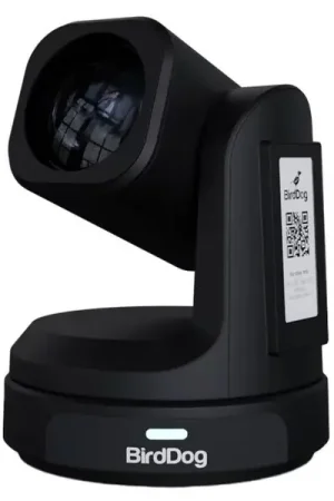 BirdDog Max Black - Qualité premium