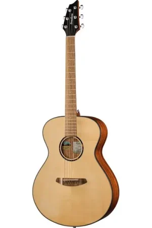 Offre du jour | Breedlove Discovery S Concert