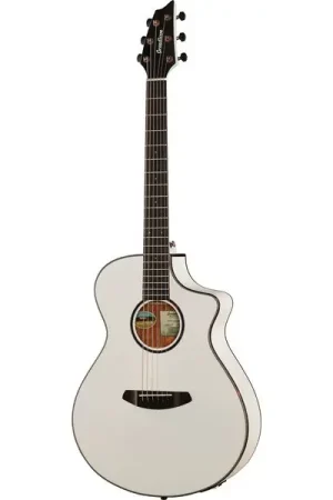 Derniers jours - Breedlove Discovery S Concert CE WH