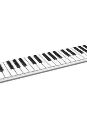 ESI Xkey 37 | Très populaire
