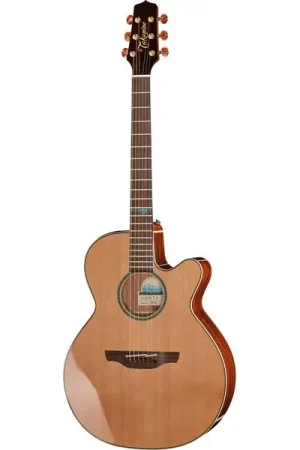 Très populaire - Takamine FSF40C