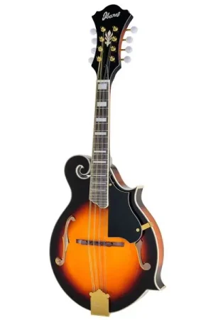 Coup de cœur des clients - Ibanez M522S-BS
