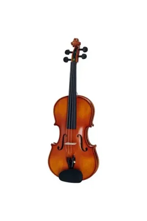 Coup de cœur des clients - Hidersine Vivente Academy Violin B-Stock