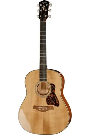 Taylor Gold Label 517e - Achetez maintenant