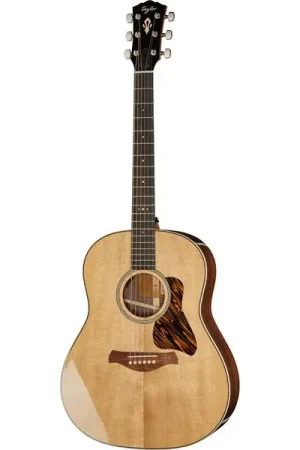 Taylor Gold Label 717e - Retour facile
