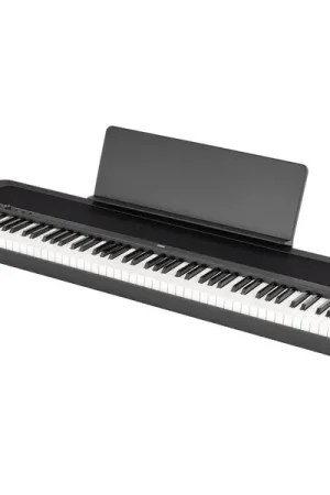 Korg B2+ Black - Tout juste ajouté