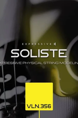 Préféré des clients | Expressive E Soliste VLN 356 Violin