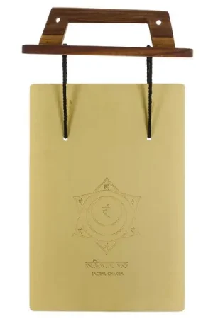 Thomann Sonority Bell Plate D Chakra | Ne manquez pas cette offre