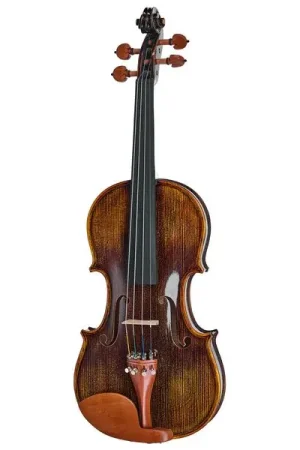 Prêt à expédier - Roth & Junius Preludio 01 Violin Set 4/4 BW