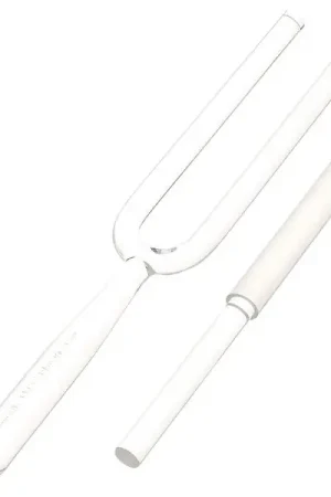 Thomann Sonority Crystal Fork Pla Year | Tout juste disponible