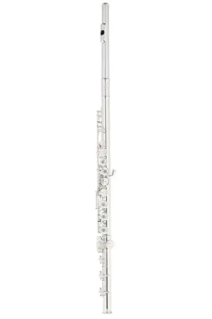 Dernières unités - Thomann FL-2000 RBE Flute