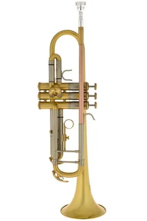 Thomann TR 620 M Bb-Trumpet - Derniers jours