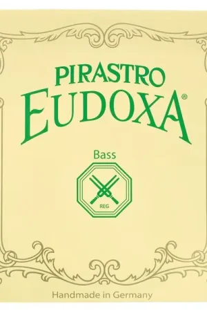 Pirastro Eudoxa Solo Double Bass E2 | Très populaire