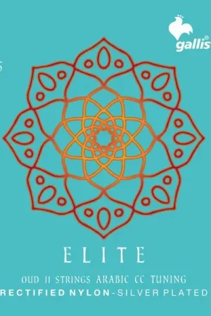 Économisez maintenant | Galli Strings OUD75 Arabic CC Tuning RN