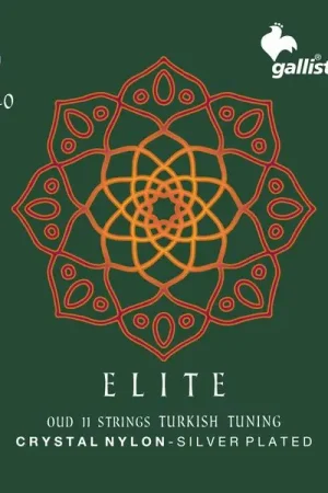 Galli Strings OUD40 Turkish Tuning CN | Très populaire
