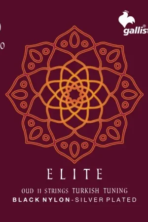 Prix doux | Galli Strings OUD30 Turkish Tuning BN
