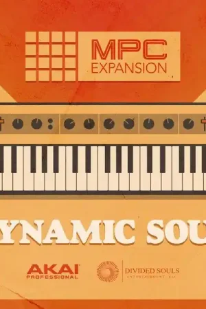 Nouvel arrivage | AKAI Professional Dynamic Soul
