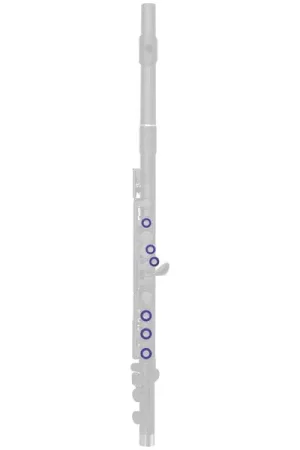 Plus que quelques unités - Nuvo Band Plugs for Flute Violet