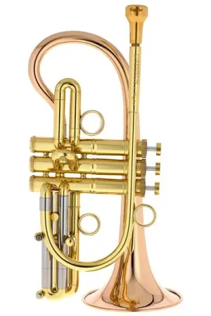 Taylor Trumpets Orpheus Bb-Cornet - Disponible maintenant