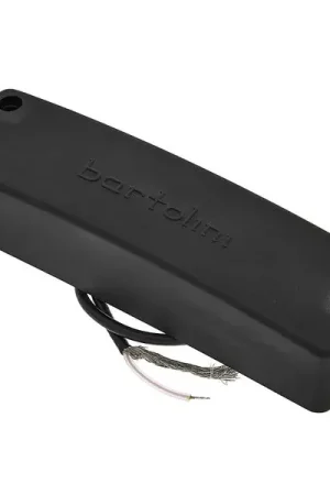 Très bien noté - Bartolini 5-String RT Soapbar Bass Neck