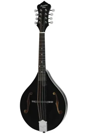 Recording King RAM-3-BK Mandoline | Recommandé