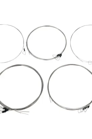 Svaram Svaraveena Strings Set - À ne pas manquer