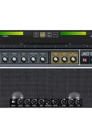 Offre bientôt terminée | Nembrini Audio Jazz Chorus Guitar Amplifier