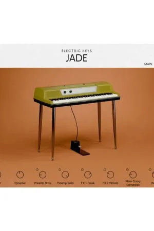 Native Instruments Electric Keys Jade - Plébiscité par les clients