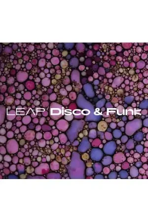 Disponible à la commande - Native Instruments Leap Expansion Disco and Funk