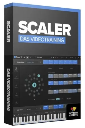 Commandez en ligne - Tutorial Experts Scaler 3 Videotraining