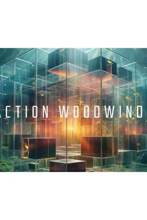 Native Instruments Action Woodwinds | Très populaire