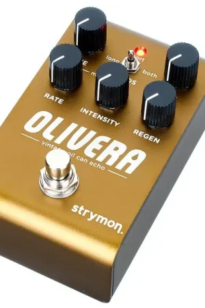 Strymon Olivera Delay | Ne manquez pas cette offre