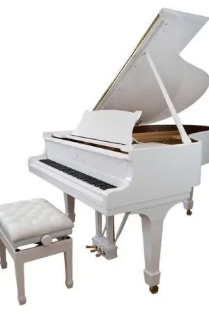 Dernières pièces - Steinway & Sons M-170 White