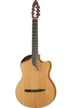 NOVA Guitars Innovator w/PU | Achat sécurisé