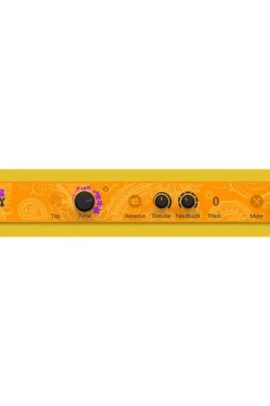 Direct fabricant | Native Instruments Psyche Delay