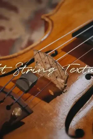 Spitfire Audio Soft String Textures | Envoi rapide