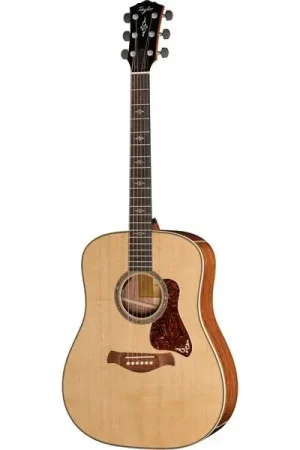 Haute qualité | Taylor Gold Label 810e