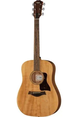 Taylor Academy 10e Walnut/Eucalyptus - Prix imbattable
