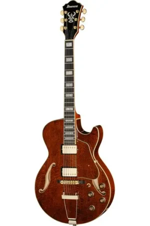 Nouveau en boutique | Ibanez AG95MG-DA