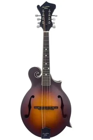 Offre flash - Recording King RFM-3-TS Mandoline