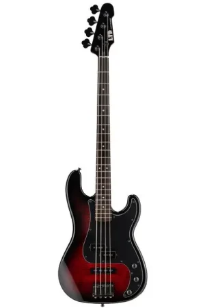 Retour facile | ESP LTD Surveyor-204DX RB