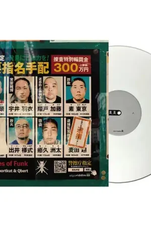 Direct usine | Stokyo djay PRO AI 12" Control white