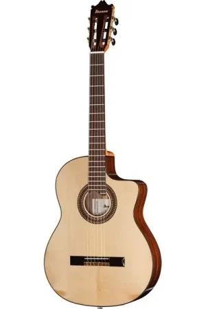 Nouveau chez nous | Ibanez GA380CE-NT