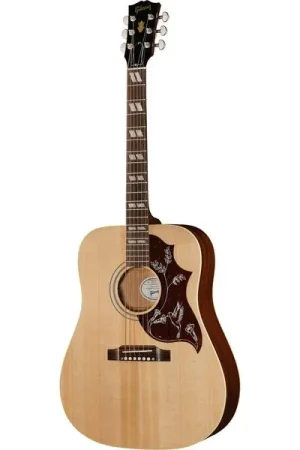 Derniers jours | Gibson Hummingbird Special SN