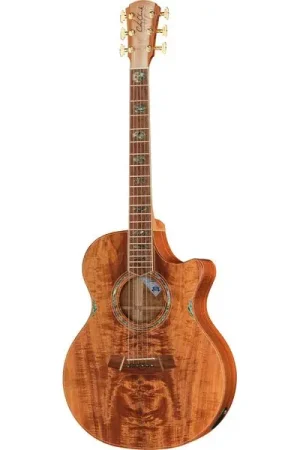 Tendance - Cole Clark AN3EC-BLBL-AE