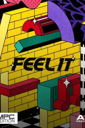 Native Instruments MPC Edition Feel It - Bonne affaire