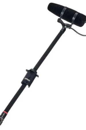 DPA 4099-DP-1 | Prix spécial